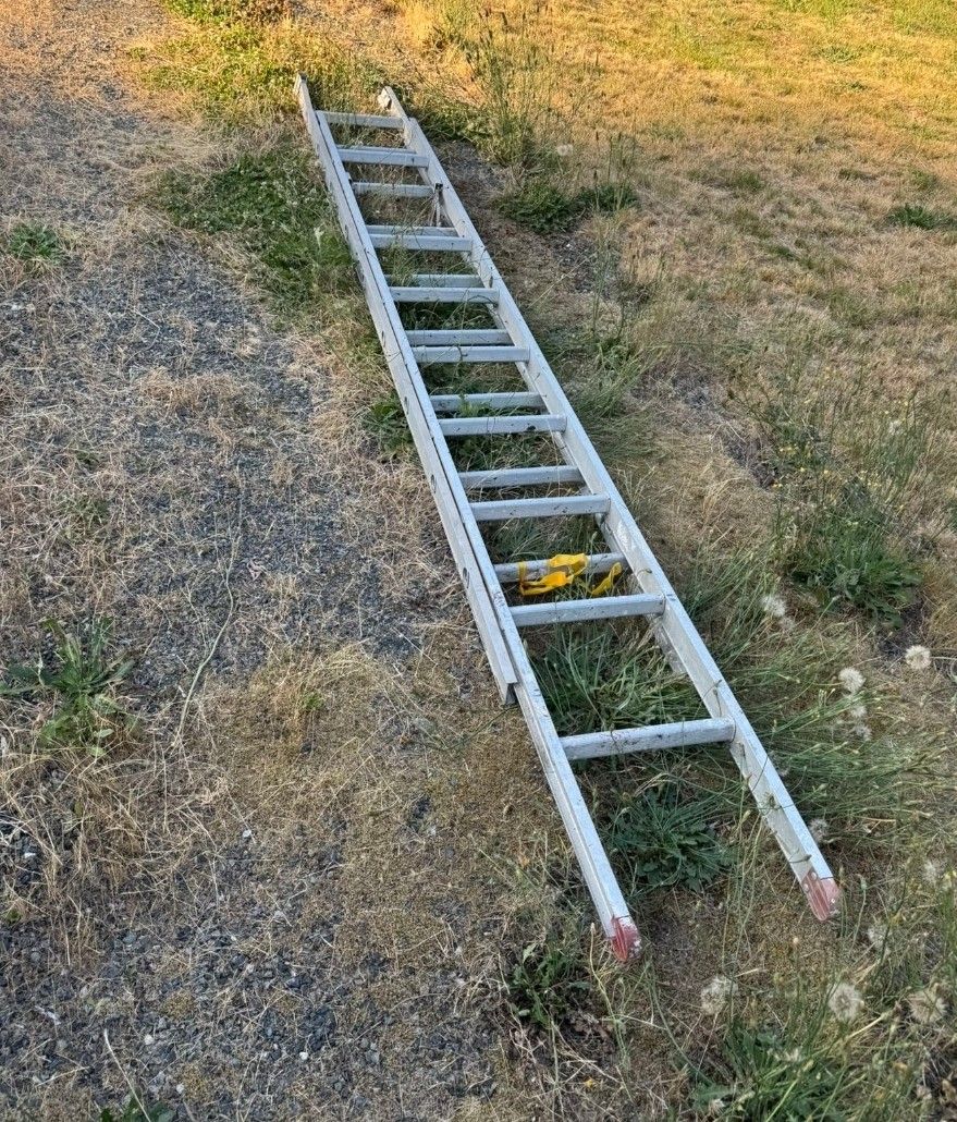 Ladder 24 Foot Telescoping