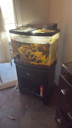 Fish tank