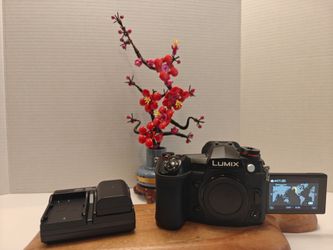 Panasonic Lumix G9 ( Screen Protector ) + New  Dual aftermarket Batteries included Reasonable Offers Ok