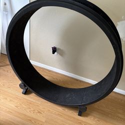 Cat Wheel