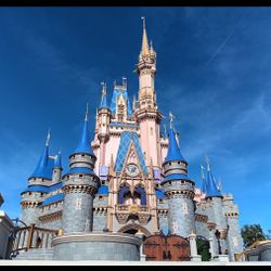 Disney Park Hopper