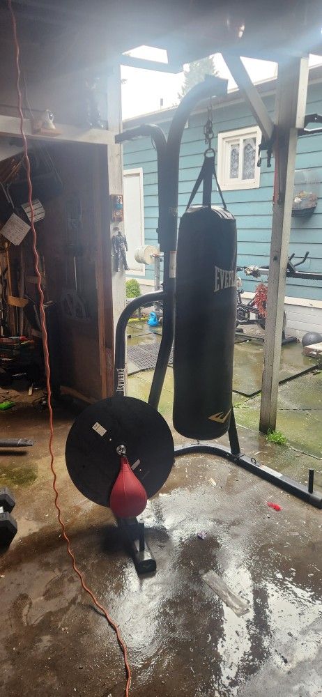 Punching Bag