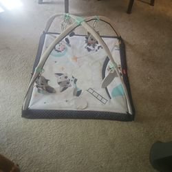 Infant Play Mat