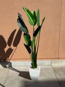 Artificial bird of paradise plant - 5ft