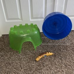 Animal Igloo And Comfort Wheel