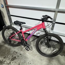 Schwinn Sidewinder 24