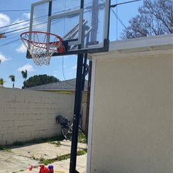 Lifetime 50+inch Adjustable Basketball Hoop