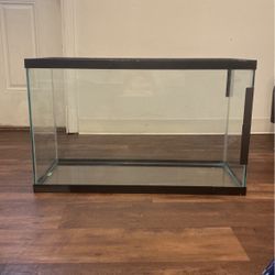 Fish Tank 