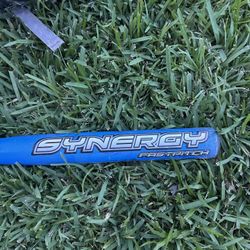 Easton Synergy Bat