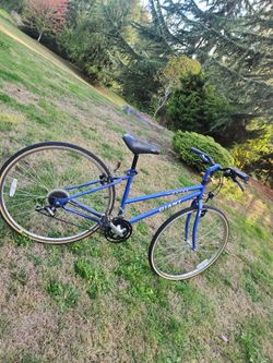 Giant Nutra Bike Bicycle 28" Tires