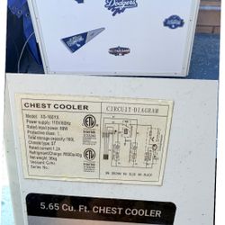 Refrigerator Chest Cooler