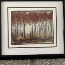 Fall In The Morning Mist