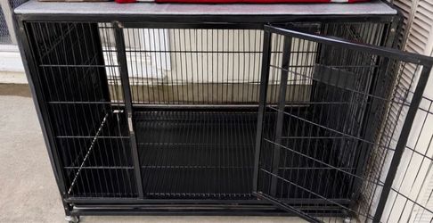 Kennel