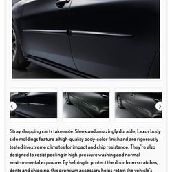 2010 Lexus Rx 350 Door Trim