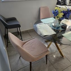Modern Dining Chairs 