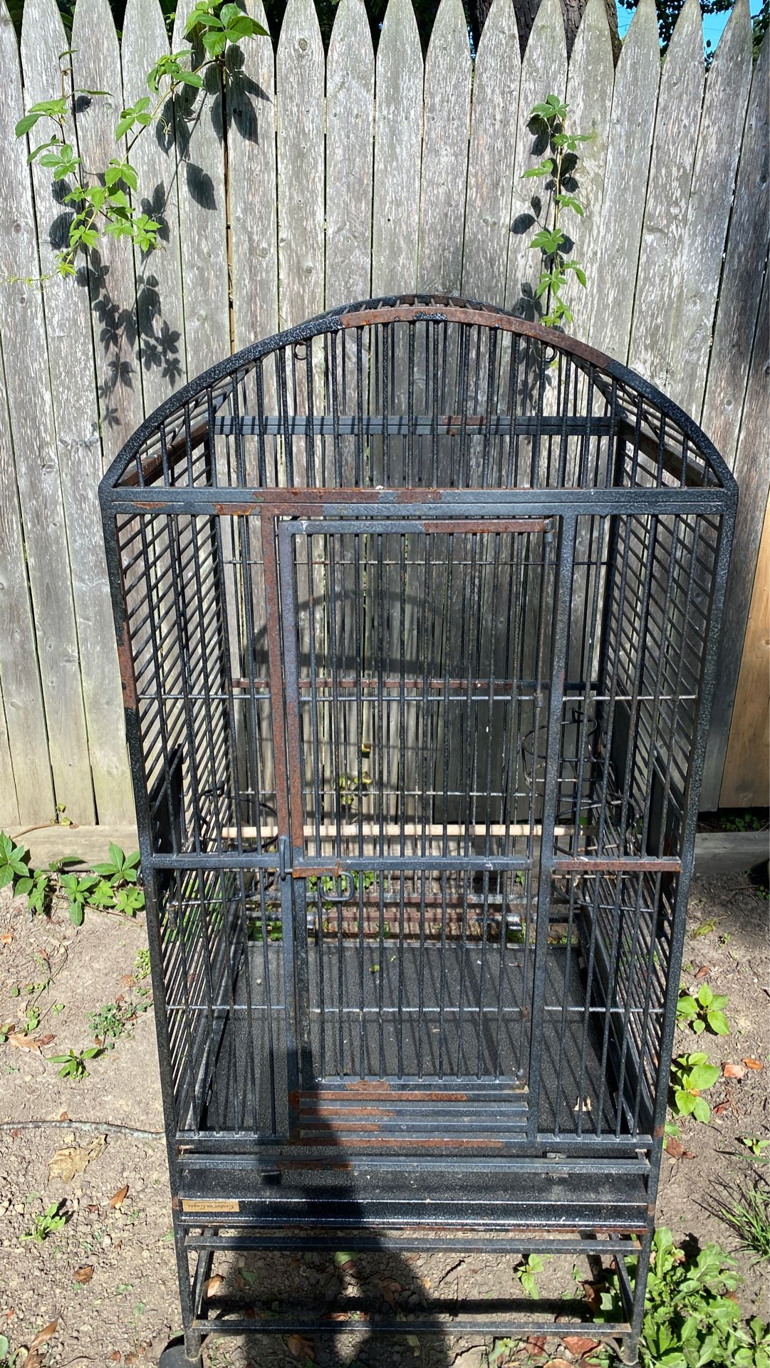 Bird Metal Cage