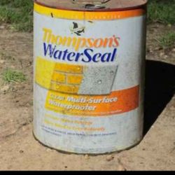Thompsons Multi - Surface Waterproofer For Sale 