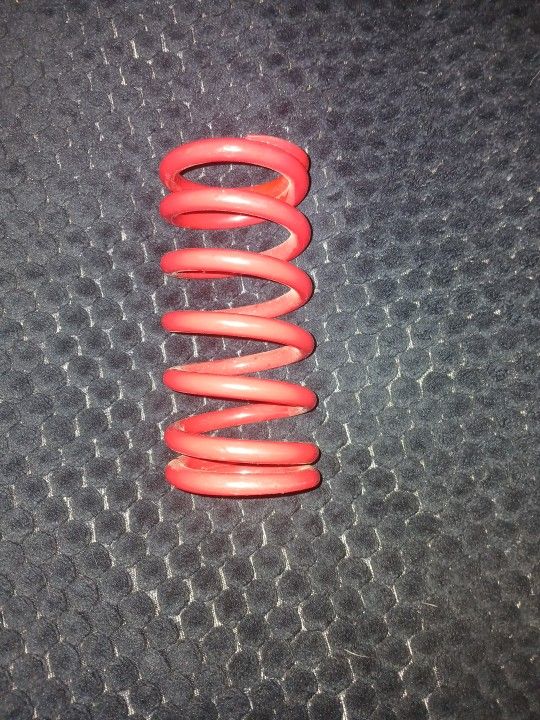 KLX 110  Spring