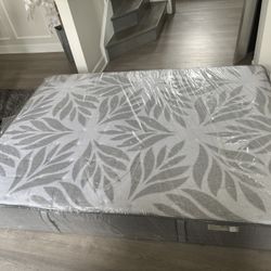 Sealy Queen Mattress