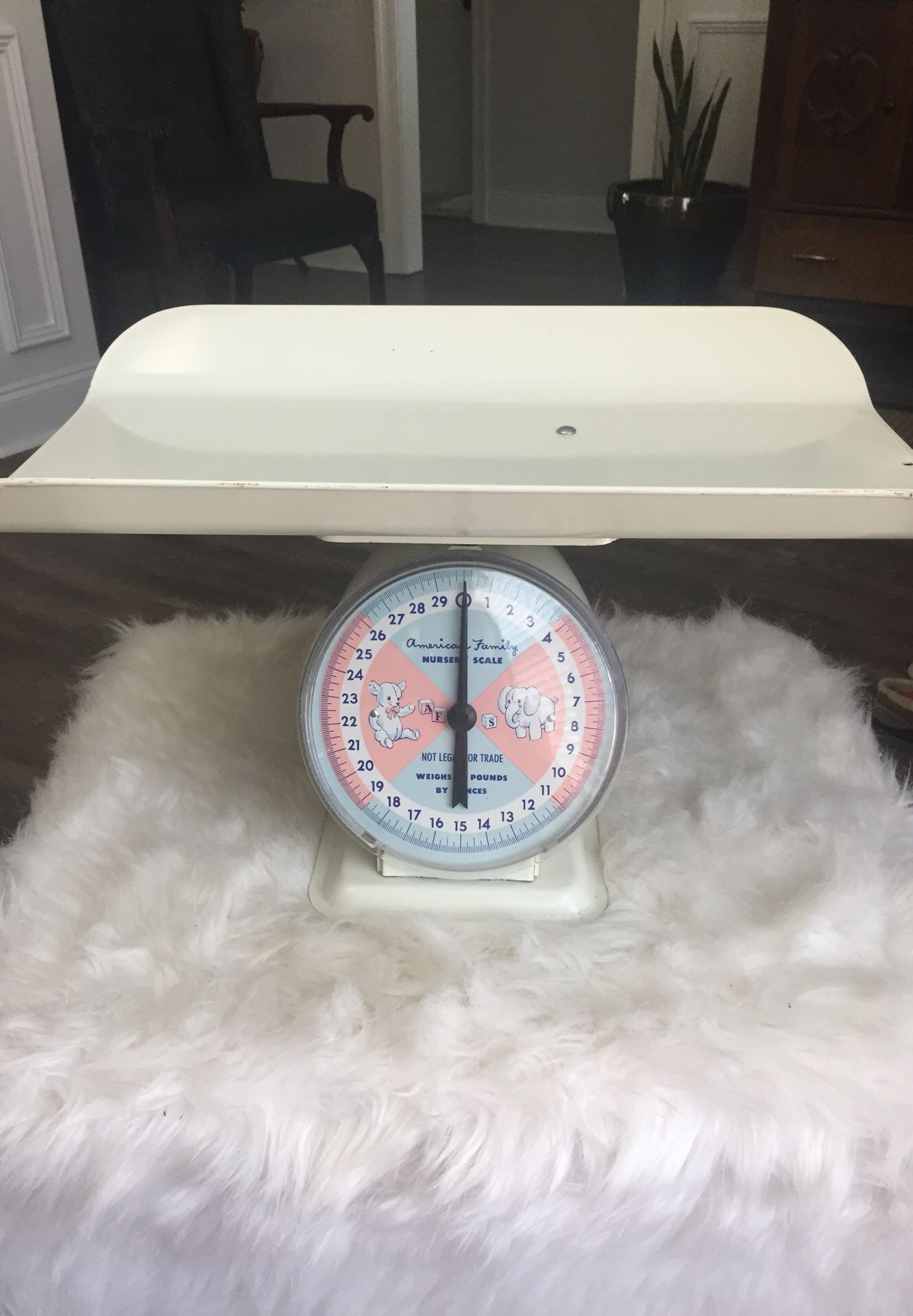 Vintage 1950s American family nursery baby scale