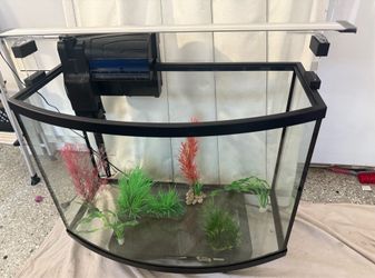 36 Gal. Tank- Finnex 24/7 light-Aqueon 20 or 75 gal filter