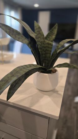 Artifical Plant in White Pot