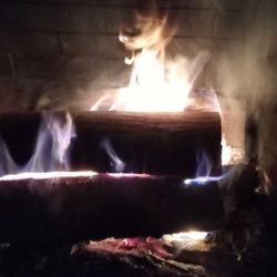 Fire Wood 280 A Cord Free Delivery