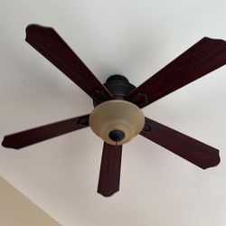 Ceiling fan
