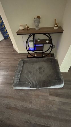 dog bed