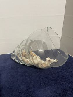 Sea shells in glass shell