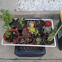 Everything Got To Go