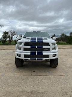 Ford Shelby 2016