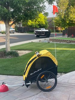 Bike trailer for kids