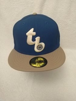 Tampa Bay rays fitted cap