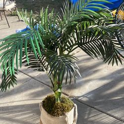 Faux Palm