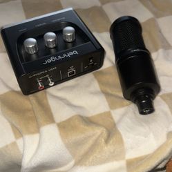 Microphone and audio interface