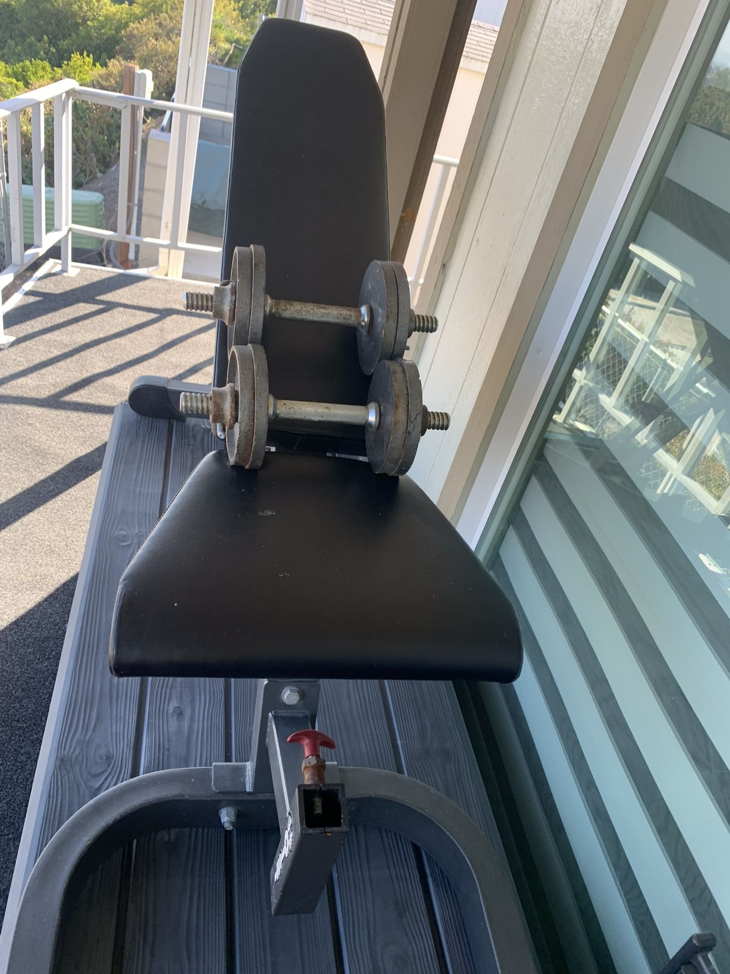 Exercise Bench And Weight Set