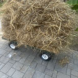 Free Hay Alfalfa