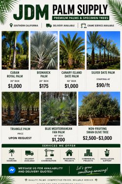 Tree Supply