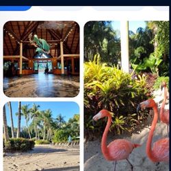 Discovery Cove Tickets $110 Seaworld Busch Gardens, and aquatica $40