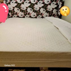 Floral Queen  bed 👑  all together.