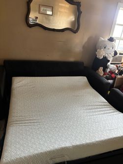 Couch bed and love seat