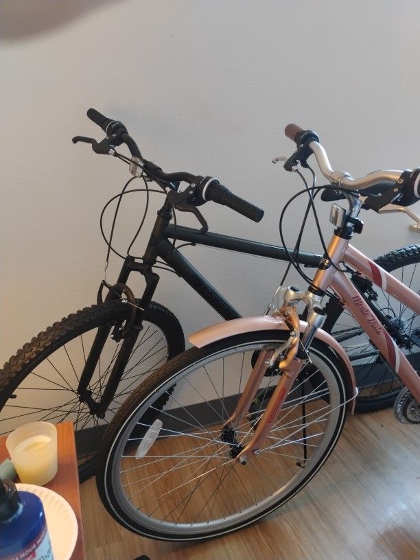 Selling 2 Brand New Adult Bikes