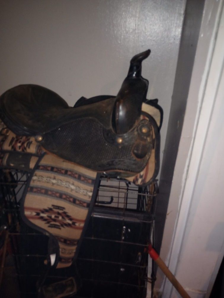 Saddle
