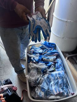 Gloves 