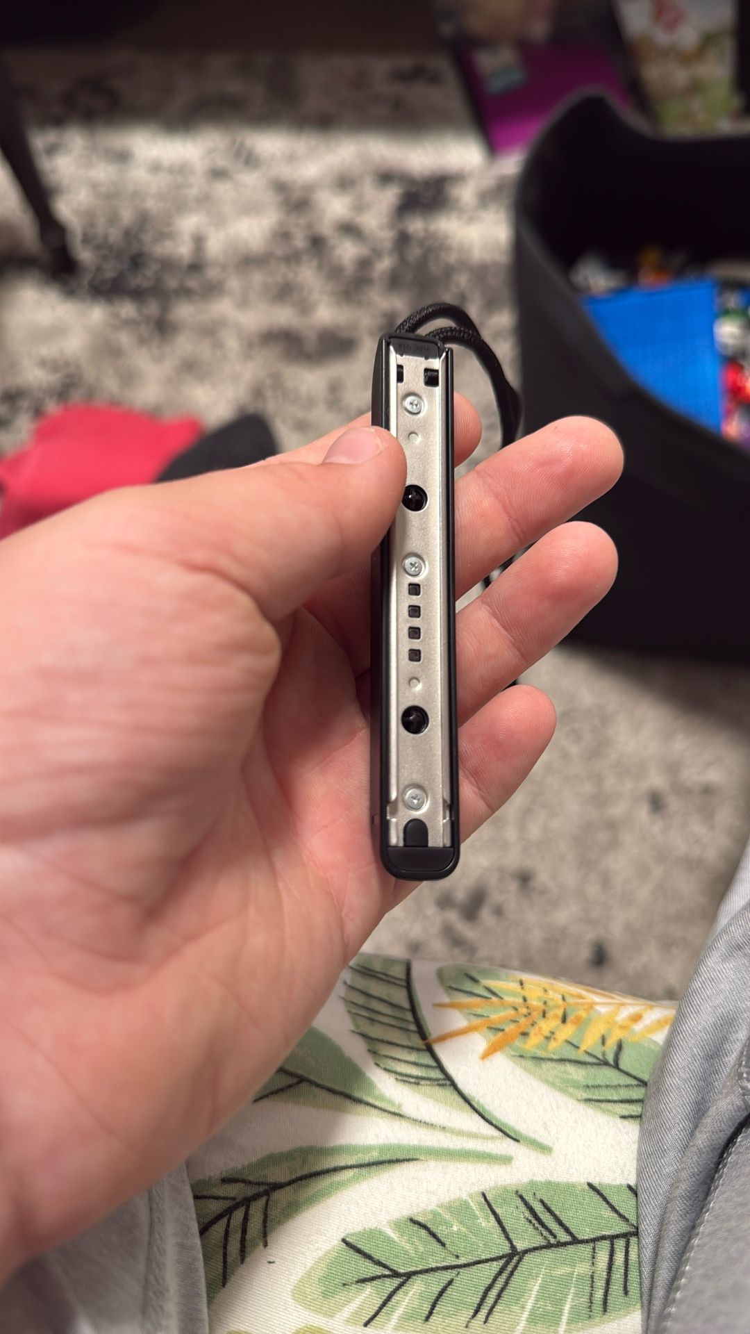 Both Nintendo Things