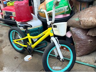 Kids 16 in bikes