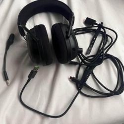 Razed Headset Pros