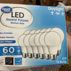 Brand New Bulbs