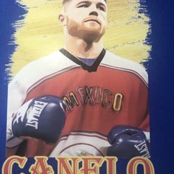 Team Canelo T Shirt -2xl